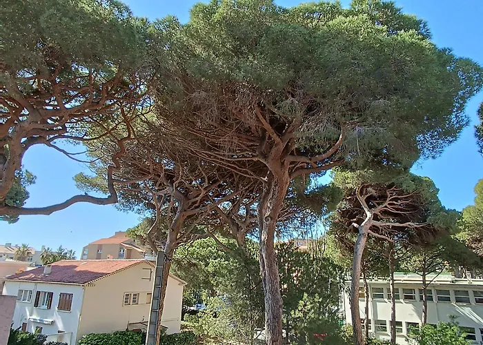 Au Calme, Climatise, Avec Parking, 2 Pas Des Plages, Le Port 公寓