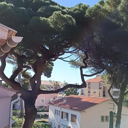 Au Calme, Climatisé, Avec Parking, 2 Pas Des Plages, Le Port * Hyères