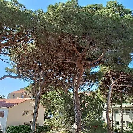 Au Calme, Climatisé, Avec Parking, 2 Pas Des Plages, Le Port Apartamento