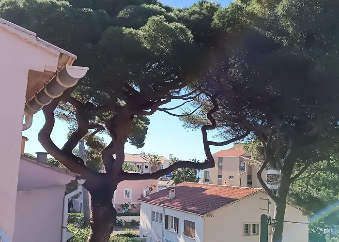 Au Calme, Climatise, Avec Parking, 2 Pas Des Plages, Le Port * Hyeres